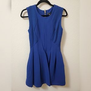 BCBGmaxazria Blue Pleated Dress